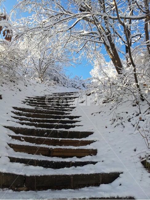 겨울,계단,눈,눈길,나무계단,겨울풍경,겨울,계절,winter,season,자연,풍경,nature,landscape,outdoors,옥외,snow