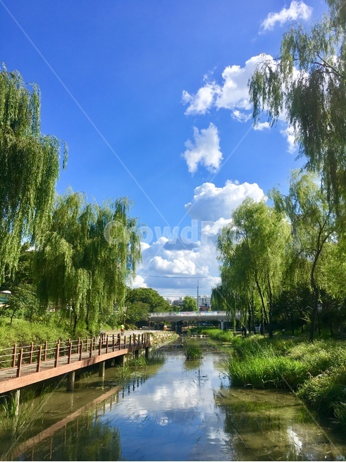 성내천,서울,송파구,동네,개천,맑음,자연,공원,산책로,seongnaestream,stream,seoul,songpagu,town,sunny,nature,park,walkway,하늘,구름,sky,cloud,한국,한국자연풍경,한국자연경관,korea,korealandscape,koreanaturelandscape,자연,풍경,nature,landscape,water,물,outdoors,옥외