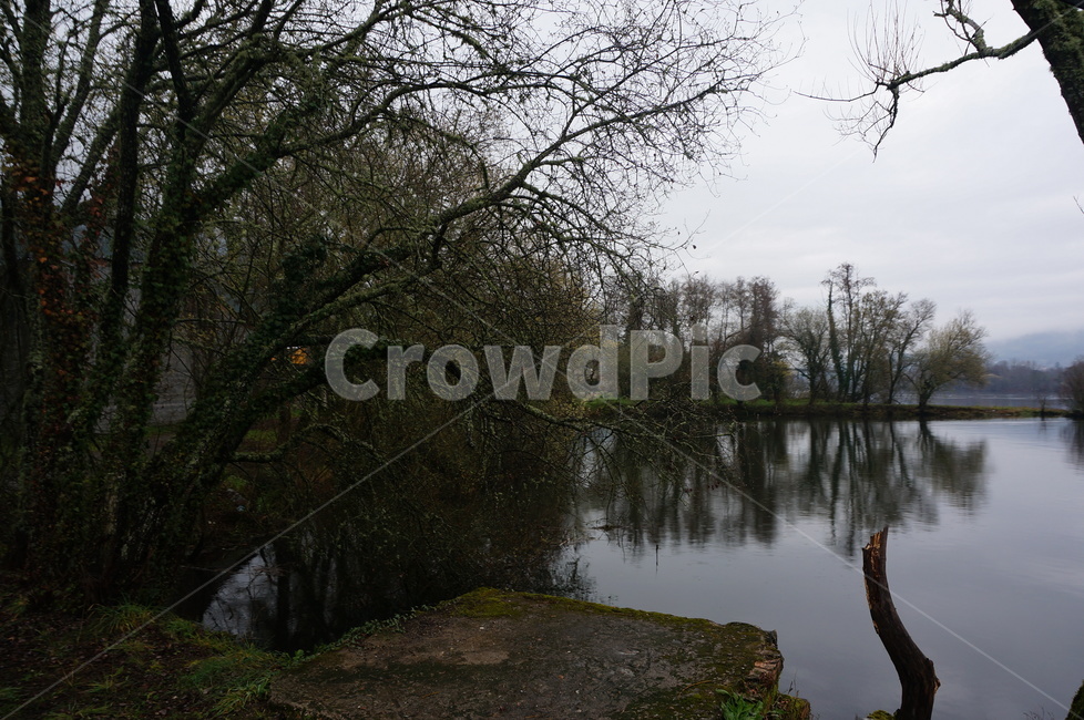 강,숲,나무,비개인,갈리시아,스페인,galicia,자연,땅,물,water,nature,outdoors,옥외,자연,풍경,nature,landscape