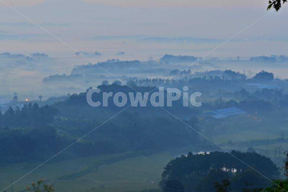 전남,함평,밀재,밀재일출,여명,아침,해돋이,sky,하늘,dawn,새벽,redsky,붉은하늘,fog,안개,plant,식물,nature,자연,outdoors,옥외,scenery,풍경,landscape,경치,mountain,산