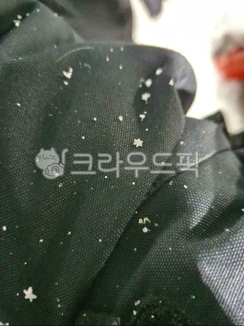 눈알갱이,눈모양,알갱이,자연,하얀눈