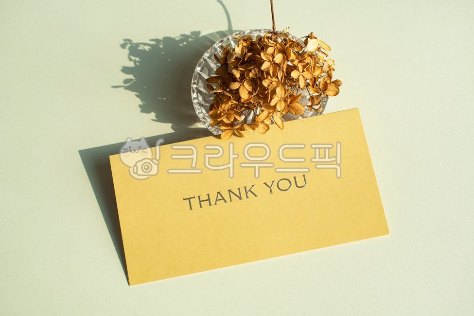 polite,illuminating,deco,blank,Christmas,shadow,advanced,greeting,memo,Page,thank you,White space,gold foil,greeting card,thanks,Valentines Day,paper,emphasis,alarm,manners,decoration,elegant,return letter,invitation,retro,message,christmas,mockup,Yearend