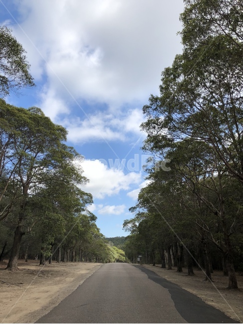 호주,road,도로,아스팔트,풍경,경치,하늘