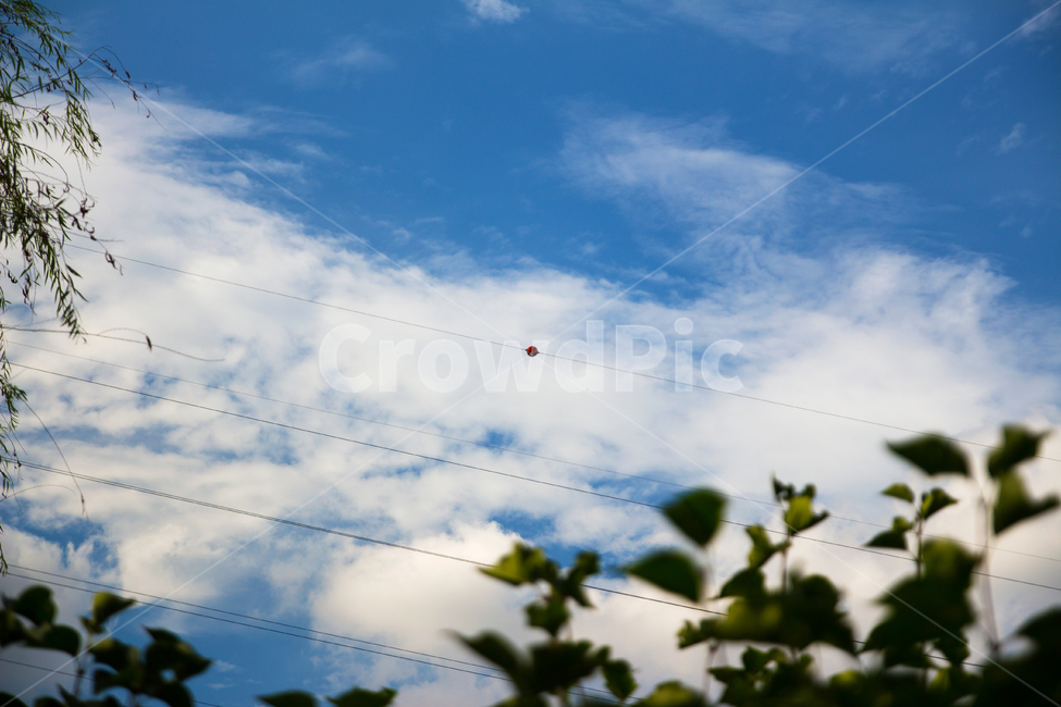 풍경,하늘,자연,여름,구름,맑음,여름하늘,감성,landscape,sky,nature,summer,cloud,sunny,sunnyday,summersky,자연,풍경,nature,landscape,cable,케이블,power lines,전력선,electric transmission tower,송전탑
