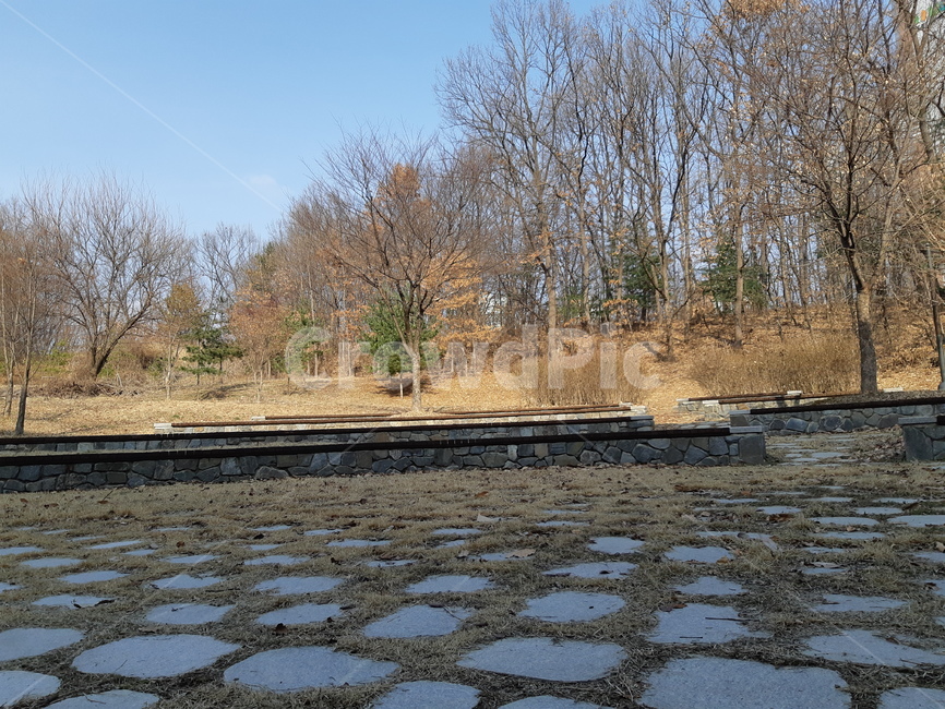 자연의자,나무,자연,겨울나무,돌의자