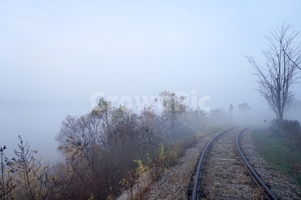 철길,철로,기찻길,안개,나무,가을,새벽,자연,풍경,nature,landscape,railway,철도,train track,rail,레일,transportation,교통