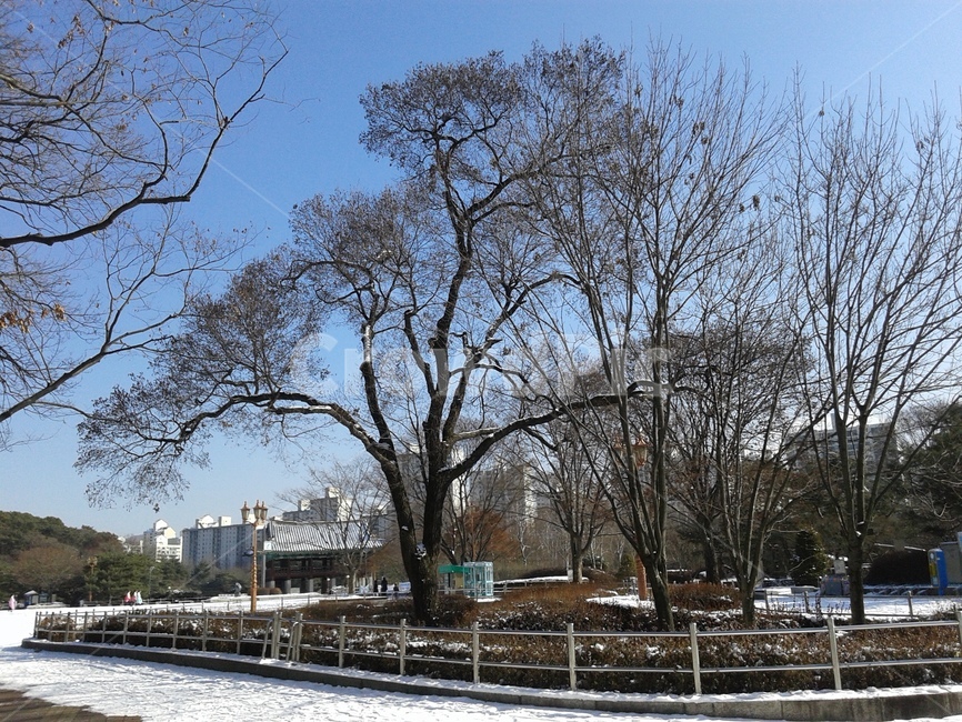 눈,공원,나무,정자,태극기,겨울,계절,winter,season,자연,풍경,nature,landscape
