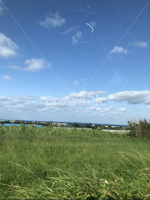 구름,하늘,푸른들판,오키나와하늘,맑은날씨,풀,식물,자연,풍경,nature,landscape,outdoors,옥외