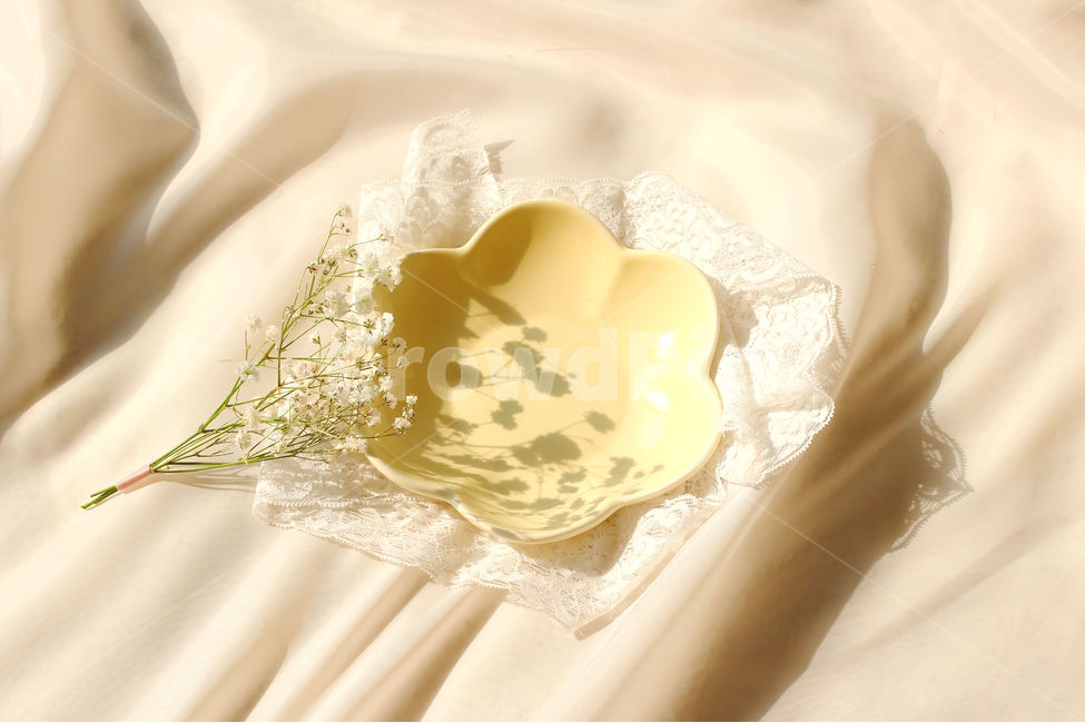 손,꽃,안개꽃,노랑,감성사진,그릇,노란색,하얀색,yellow,white,flower,flowers,레이스,접시,hand,사물,물건,오브젝트,thing,object,matter