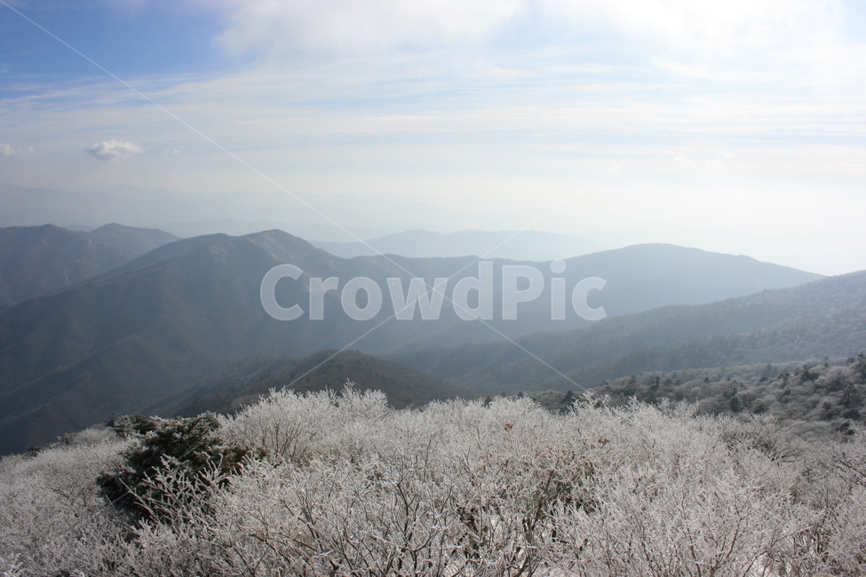 설산,눈꽃,풍경,산정상,등산