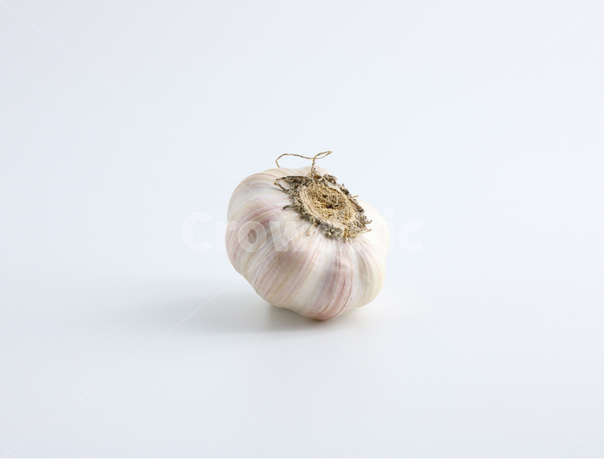 사진,누끼,마늘,야채,채소,햇마늘,육쪽마늘,갈릭,통마늘,재료,식자재,garlic,wholegarlic,vegetable,food,음식,식재료,요리,food,cook,meal,dishes,food reserves,채소,야채,vegetables,누끼,remove background