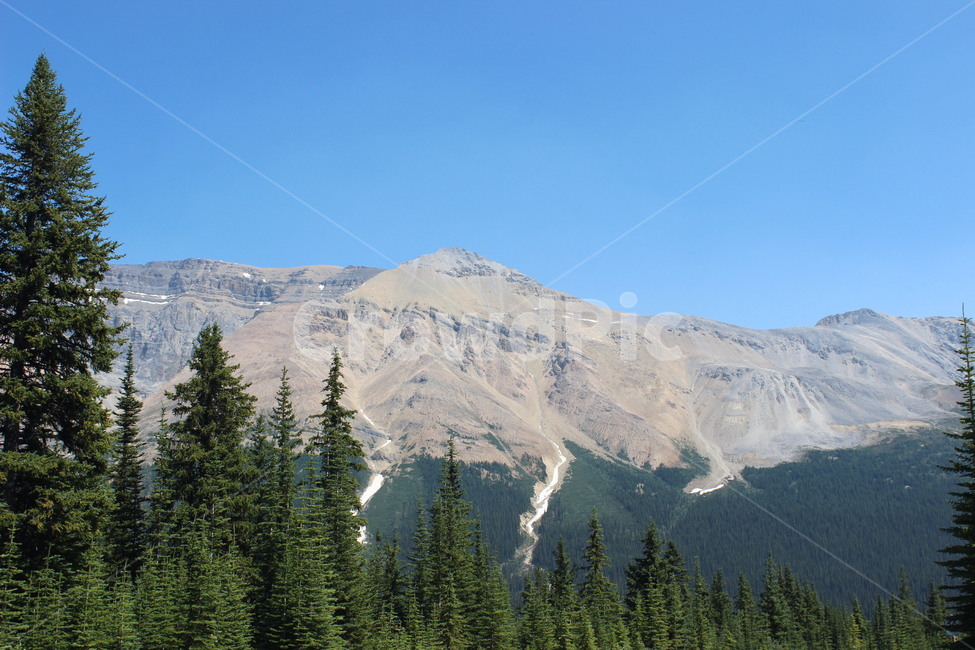 풍경,로키산맥,rocky,캐나다,canada,nature,outdoors,옥외,mountain,산,tree,나무,plant,식물,자연,풍경,nature,landscape,fir,전나무