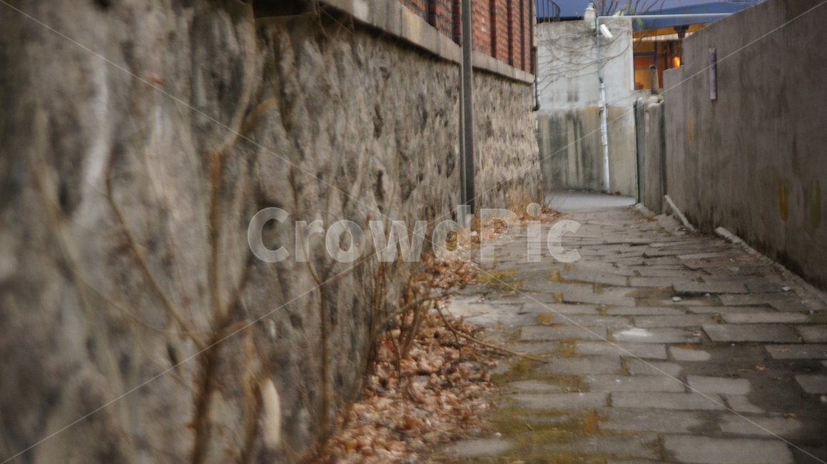 돌담,길,벽,골목,골목길,낙엽,골목길,alley,flagstone,판석,walkway,보도,path,통로