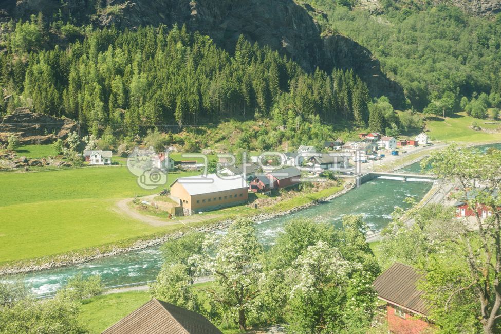 노르웨이,피오르드,norway,fjord,nature,자연,tree,나무,plant,식물