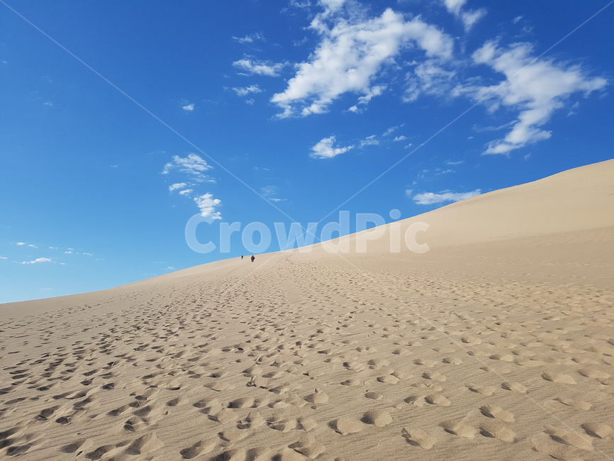 사막,나미브사막,나미비아,모래언덕,모래,샌드듄,sand,dune,자연,풍경,nature,landscape,soil,흙,outdoors,옥외,모래 언덕
