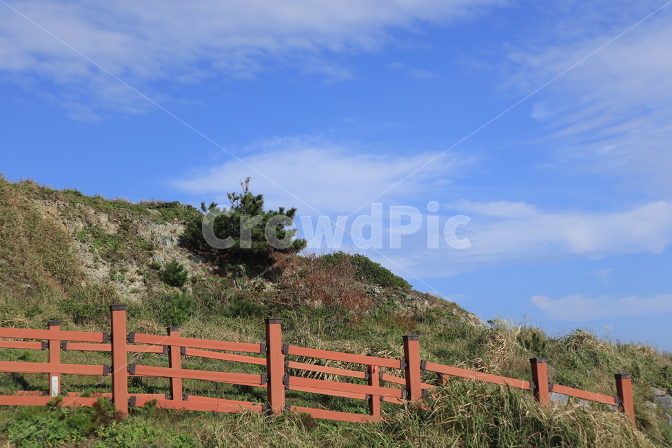 울타리,절벽,나무,하늘,푸른하늘,맑은하늘,구름,nature,tree,파란,자연,blue,sky,field,들,grassland