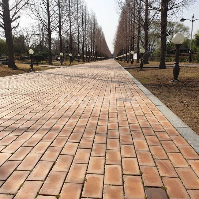 path,통로,walkway,보도,sidewalk