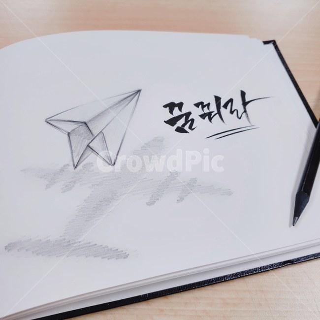 캘리그라피,켈리그라피,그림,드로잉,낙서,비행기,캘리그라피,손글씨,calligraphy