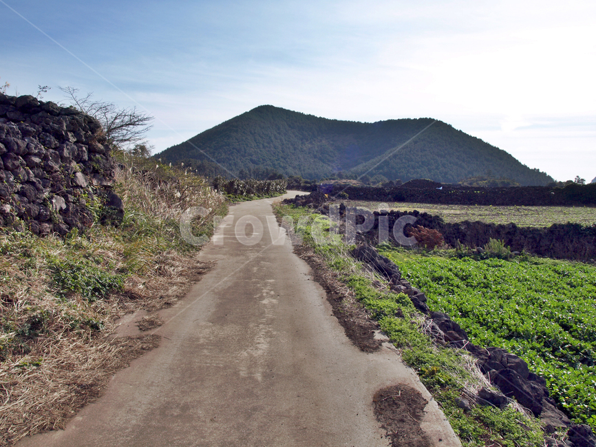 지미봉,밭길,올레21코스,올레,제주,올레길,돌담,오름,기생화산,자연,풍경,nature,landscape,한국자연풍경,한국자연경관,korea nature landscape,제주도,jeju,jeju island,road,도로,outdoors,옥외,dirt road,흙길,gravel,자갈