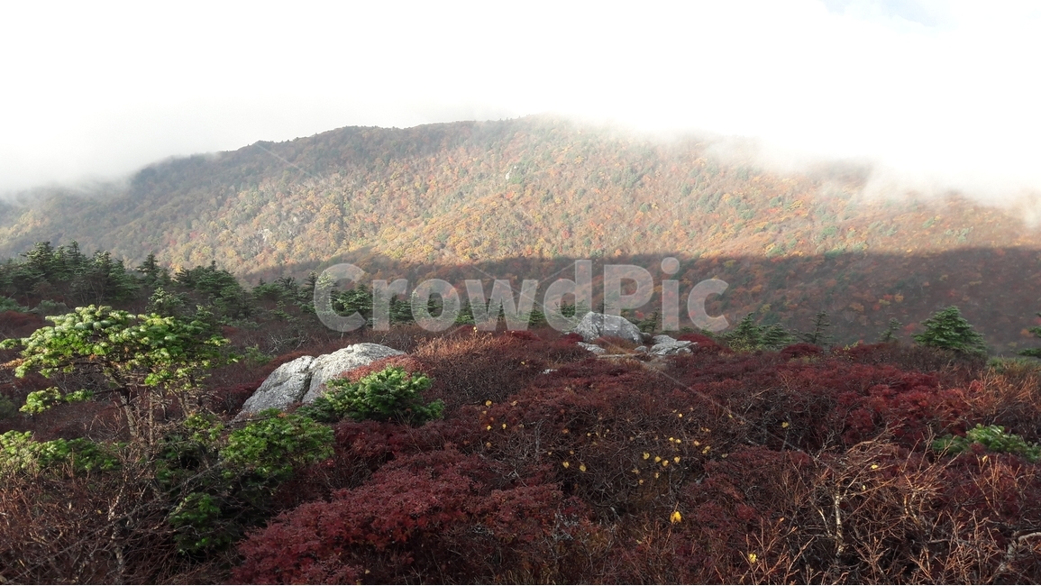 설악산,한국의산,설악산국립공원,공룡능선,천불동계곡,한국의가을,단풍,구름,한국의산하,아름다운산,바위,암봉,가을,계절,fall,autumn,season,자연,풍경,nature,landscape,한국자연풍경,한국자연경관,korea nature landscape,outdoors,옥외