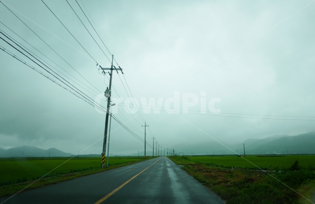 rain,countryside scenery,hometown,road,telephone pole,Emotion,Fog