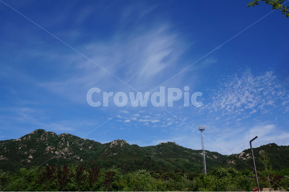 나무,파랑하늘,봄,맑음,풍경,자연,자연,풍경,nature,landscape,한국자연풍경,한국자연경관,korea nature landscape,outdoors,옥외