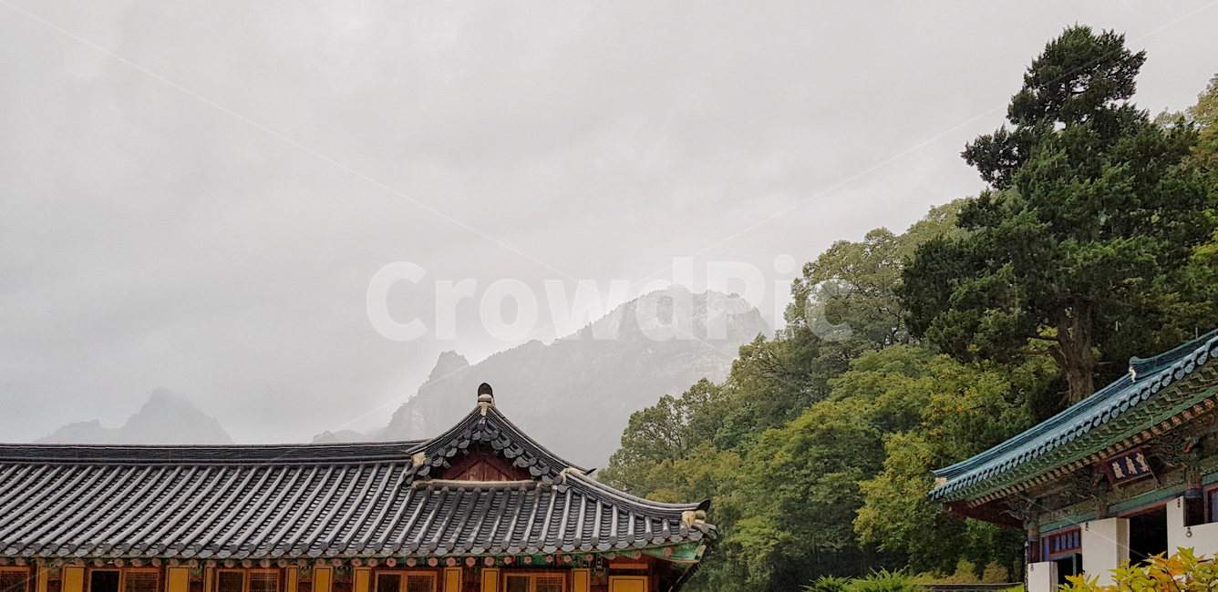 나무,비,절,전통,한옥,한국,산,기둥,기와,기와집,korea,한국전통,한국문화,korean traditional,korean culture