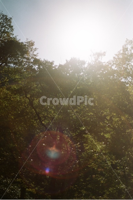 flare,light,빛,film,산