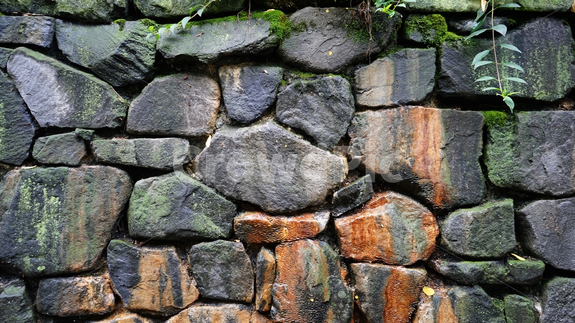 돌,축대,견고,건축,인공,구조물,안전,rock,embankment,strong,solid,sturdy,safety,배경,background,stone,moss,이끼,건축물,건물외관,exterior,building,structure,architecture,construction