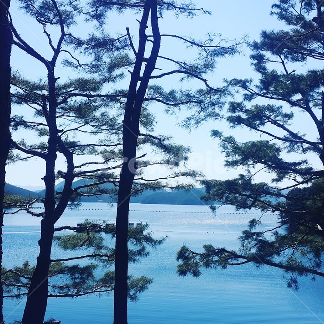 호수,계절,감성,대청호,청남대,나들이,푸름,자연