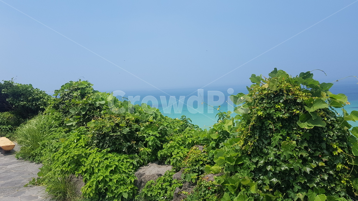 제주도,바다,하늘,자연,nature,자연,풍경,nature,landscape,outdoors,옥외,land,땅,vegetation,초목,plant,식물