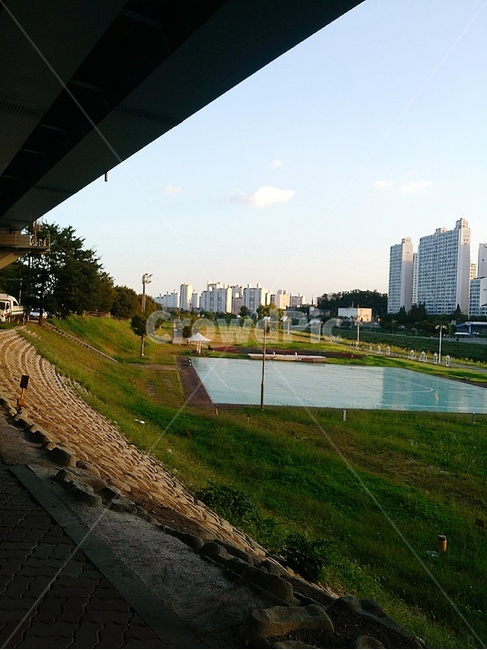 plant,식물,grass,잔디,풍경