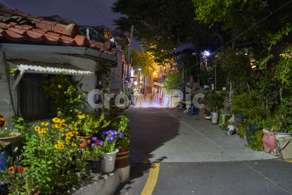 골목,동네,밤골목,화분,예쁜골목,혜화동,낙산공원,야경,밤,풍경,nightscape,night,landscape,골목길,alley