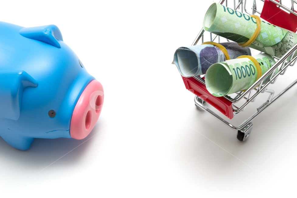 insurance,studio,original picture,directed photo,piggy bank,fee,white background,source,salary,cart,banknote,bank,assets,property,tied money,payment,savings,stock,cash,shopping,10,budget,Oriental,accumulation,single photo,bundle of money,tax,economy,savin