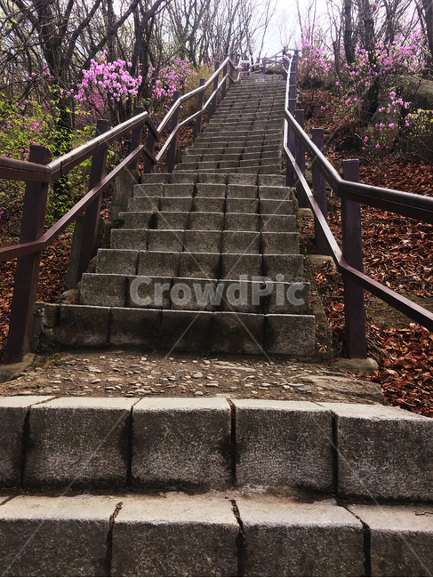 계단,꽃,풍경,배경,난간,자연,풍경,nature,landscape,handrail,banister,railing