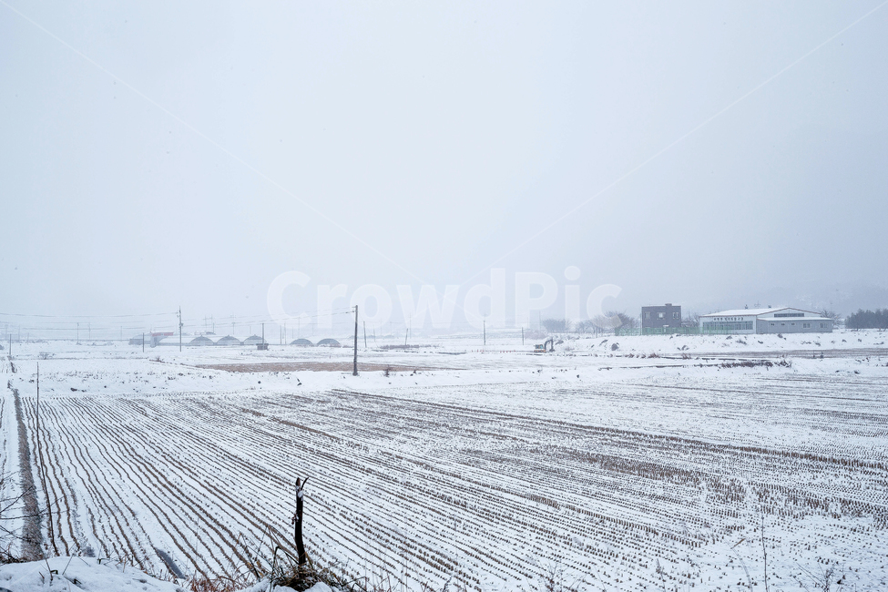 설경,눈,겨울,담양,담양설경,겨울,계절,winter,season,자연,풍경,nature,landscape,outdoors,옥외