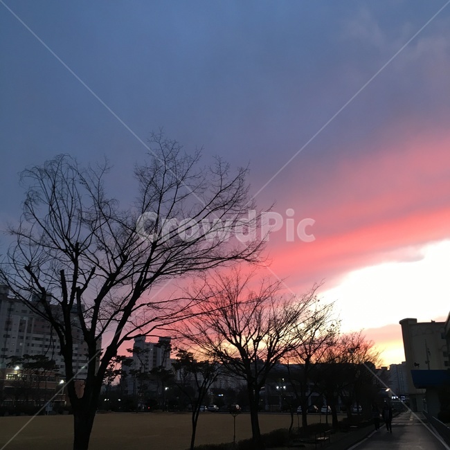 노을,색감,저녁,해질녘,하늘,gradation,방과후,산책