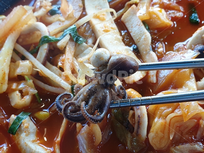 짬뽕,중국요리,중화요리,식사,메뉴,요리,레시피,recipe,맛집,누들,noodle,food,음식,얼큰한,얼큰하다,국물,얼큰한국물,시원한국물,해물,seafood,meal,해양생물
