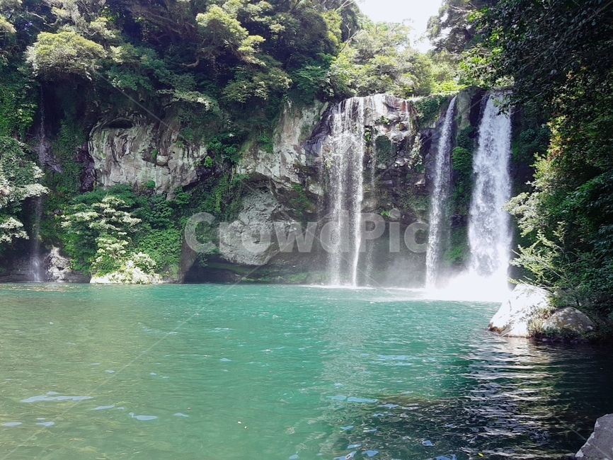 제주도,천지연,천지연폭포,물,계곡,산,바위,계곡물,제주도천지연,제주