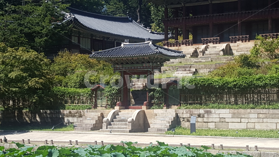 후원,자연,nature,backgarden,後園,한국전통,한국문화,korean traditional,korean culture,건축물,건물외관,exterior,building,structure,architecture,construction