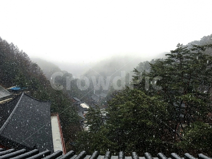 한국,충청북도,단양,8경,천태종,총본산,구인사,국내,여행,눈,배경,한국전통,한국문화,korean traditional,korean culture,자연,풍경,nature,landscape,겨울,계절,winter,season,종교,신앙,religion,belief,faith,outdoors,옥외