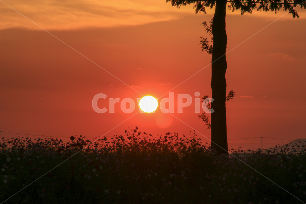 붉은태양,노을,감성,빛,저녁,자연,풍경,nature,landscape,sunlight,햇빛,outdoors,옥외