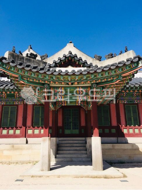 궁궐,한국,문화재,창덕궁,궁전,조선왕조,한옥,나무,전통문화,한국문화재,전통문화재,조선,역사,한국문화,한국풍경,대한민국,조선왕실,관광지,한국관광지,korea,changdeokgung,changdeokpalace,한국건축물,koreanpalace,koreanarchitecture,korealandmark,kingdom,seoul,서울,palace,architecture,건축물,building,건물