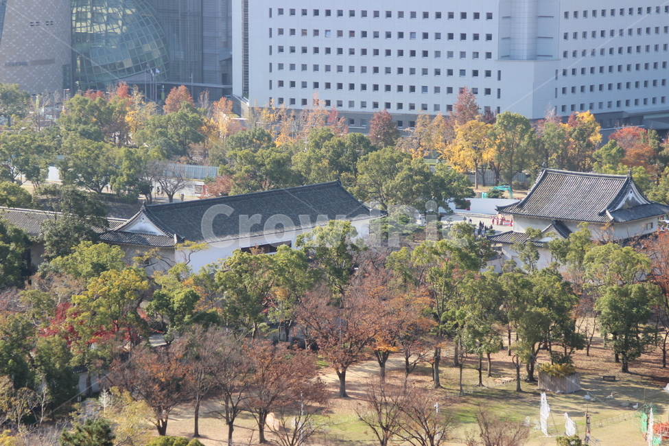 풍경,자연,건물,도시와전통,건축과한옥,가을,계절,fall,autumn,season