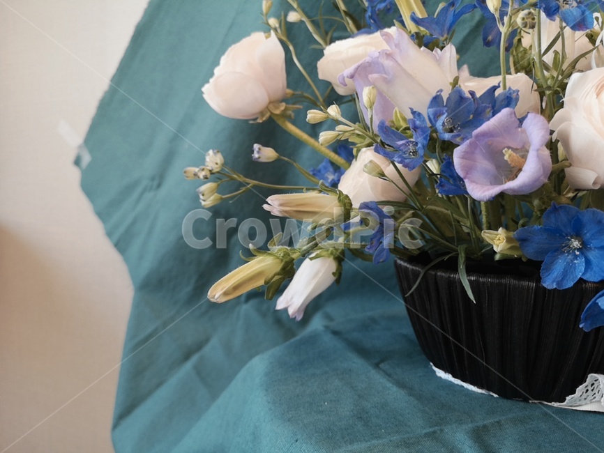 plant,식물,flower,blossom,flowerarrangement,꽃꽂이