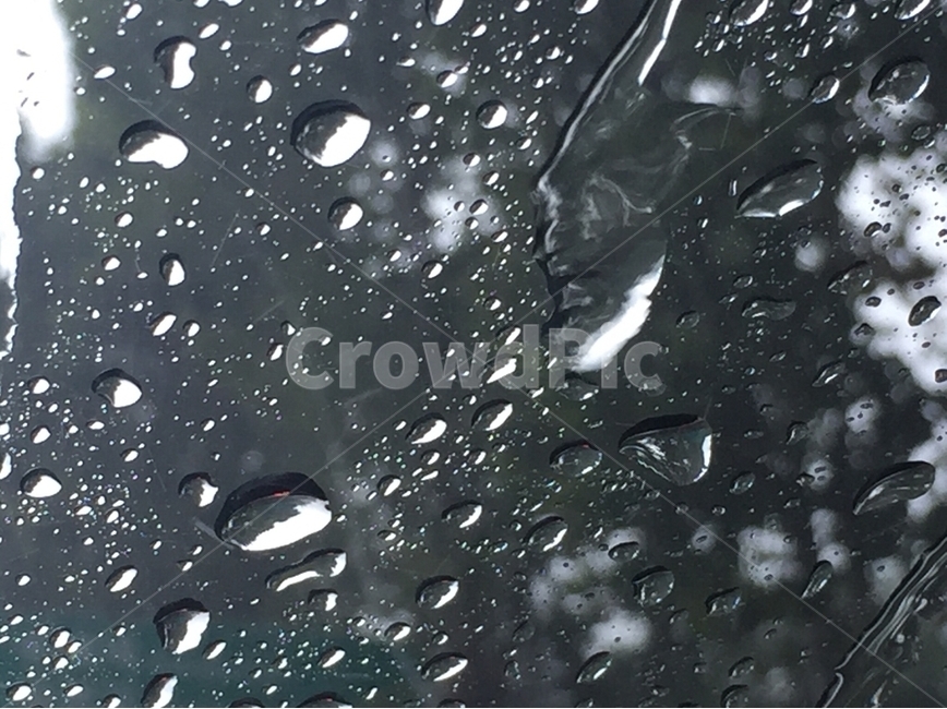 물방울,물,유리,표면,물표면,물분자,비,빗방울,투명,water