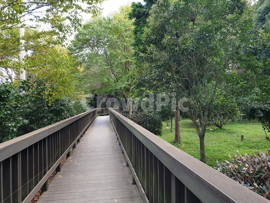 railing,handrail,난간,banister,bridge,다리,building,건물,path,통로,가좌산,산책로,가좌산산책,자연,나무