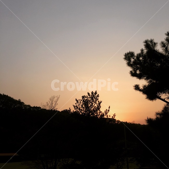 자연,노을,석양,나무,산,일몰,붉은하늘,redsky,sunset