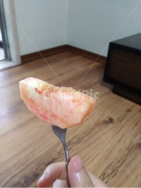 복숭아,과일,조각,음식,peach,fruit,여름,포크를쥔손,분홍색,peice