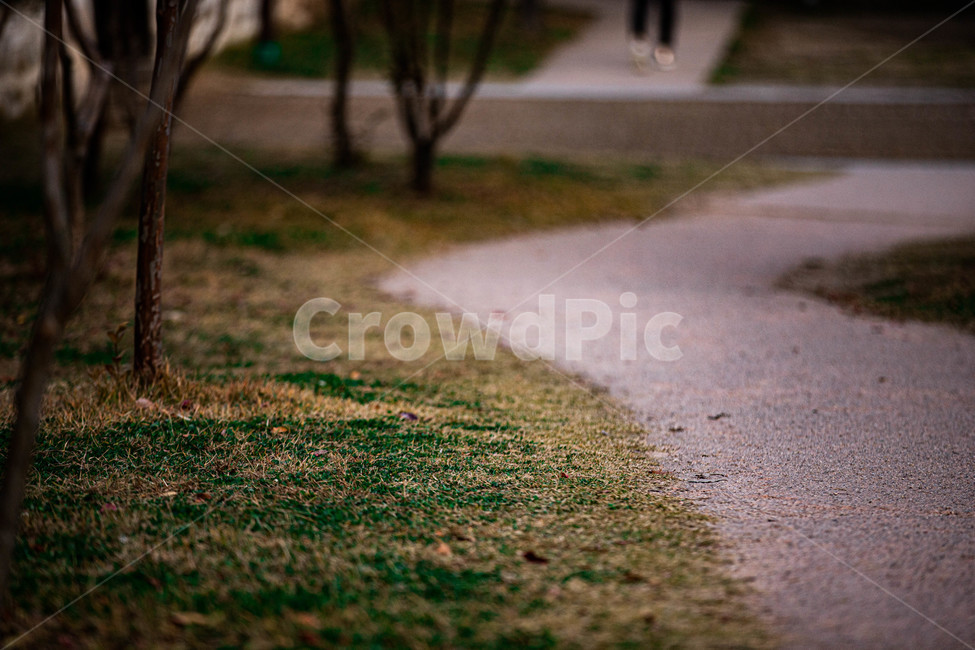 아스팔트,잔디,초록,바닥,타맥,자연,풍경,nature,landscape
